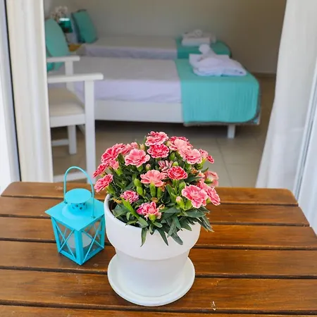 Georgia And In Town * Skiathos Chora